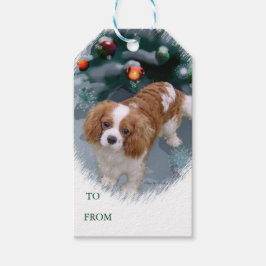 Cavalier Kung Charles Spanska Juletiketter Presentetikett