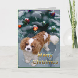 Cavalier Kung Charles Spanska julklappar Helgkort