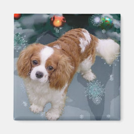 Cavalier Kung Charles Spanska julklappar Magnet
