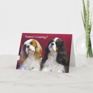 Cavalier Kung Charles Spanska julkort Helgkort