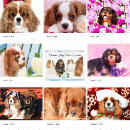 Cavalier Kung Charles Spanska Kalender