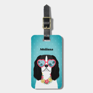 Cavalier Kung Charles, Spanska resgodsmarkeringar Bagagebricka