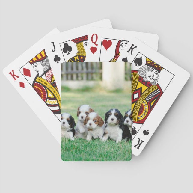 Cavalier Kung Charles Spanska valpar Spel Kort (Baksidan)