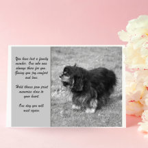 Cavalier Kung Charles Sympathy Greeting Card