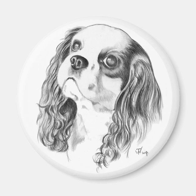 Cavalier Kung Charles Teckning Magnet (Framsidan)