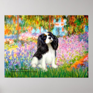 Cavalier Kung Charles (Tri färg) - Garden Poster
