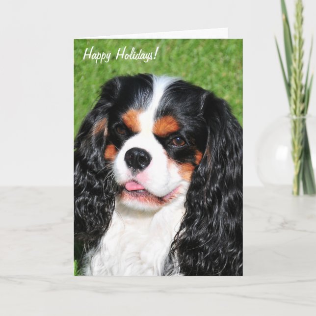 Cavalier Kung Charles Tri-Färg Helgdag Card Helgkort (Framsida)