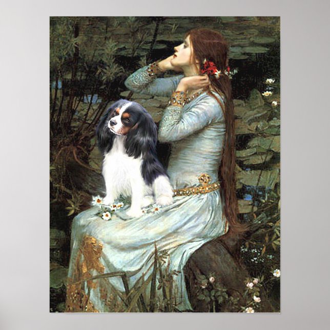 Cavalier Kung Charles (tri färg) - Ophelia Seated Poster (Framsidan)
