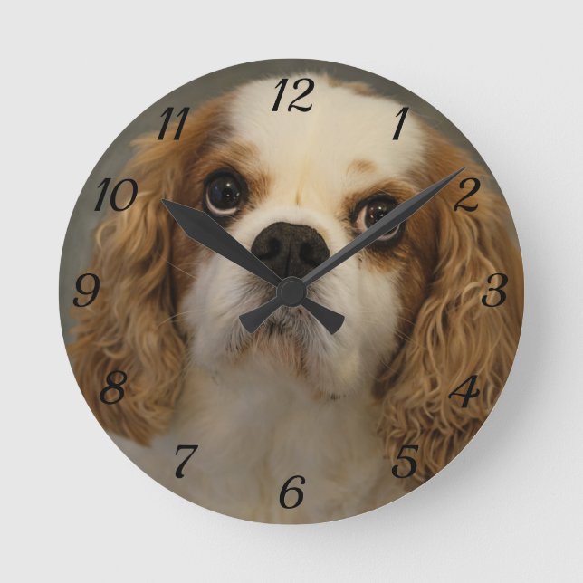 Cavalier Kung Charles Wall Clock Rund Klocka (Framsida)