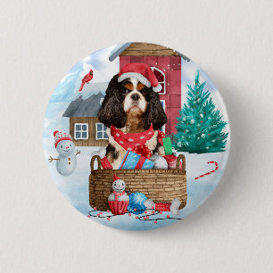 Cavalier Kung Hund i julhuset snö i Hund Knapp