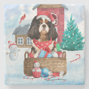 Cavalier Kung Hund i julhuset snö i Hund Stenunderlägg