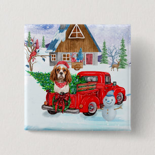 Cavalier Kung Hund i julleveransen Lastbil Snö Knapp