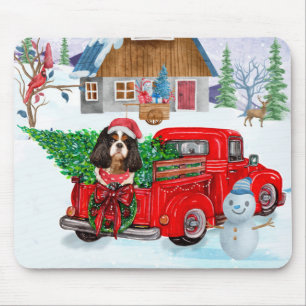 Cavalier Kung Hund i julleveransen Lastbil Snö Musmatta
