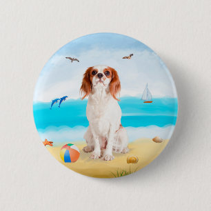 Cavalier Kung Hund på Beach Knapp