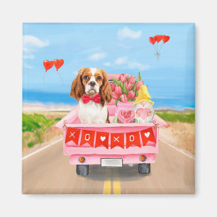 Cavalier Kung Hund Valentine Day Lastbil Hearts Magnet