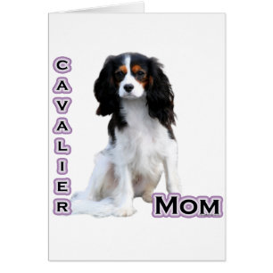 Cavalier Mamma 4 Hälsningskort