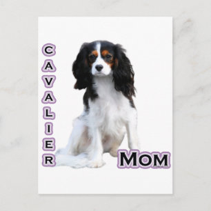 Cavalier Mamma 4 Vykort