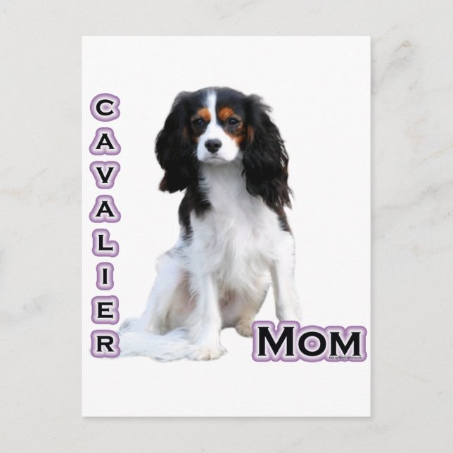Cavalier Mamma 4 Vykort (Framsida)