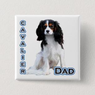 Cavalier Pappa 4 - Knapp