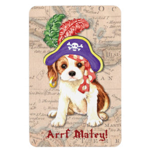 Cavalier Pirat Magnet