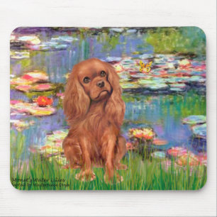 Cavalier (Ruby7) - Lilies 2 Musmatta