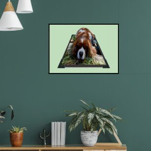 Cavalier Sooky Ansikte spanel Poster
