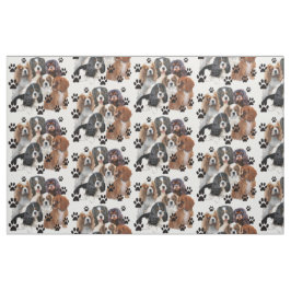 Cavalier Spain Färger Fabric Tyg