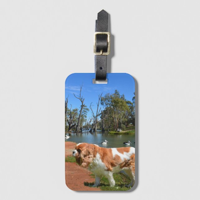 Cavalier Spain och Pelicans. Bagagebricka (Framsida vertikal)