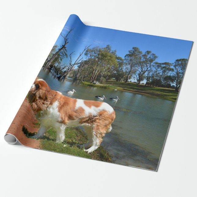 Cavalier Spain och Pelicans. Presentpapper (Utrullad)
