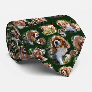 Cavalier Spain Photo Collage, Neck Tie Slips
