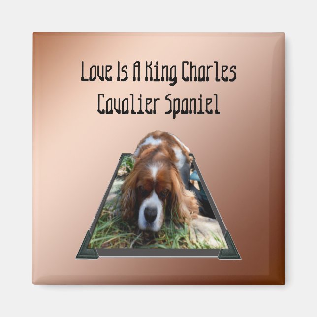 Cavalier Spain Popout Art, Fridge Magnet (Framsidan)