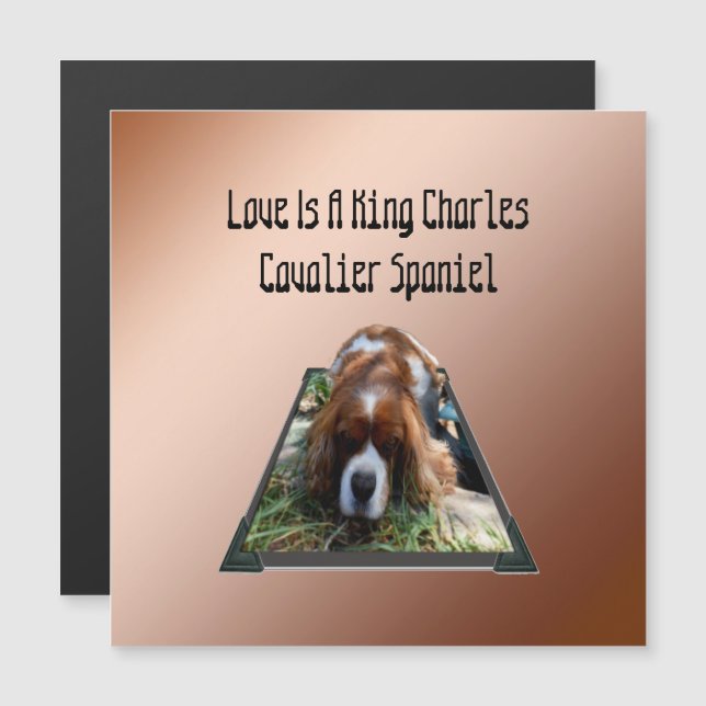Cavalier Spain Popout Art, Magnetic Card (Fram/baksida)