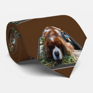 Cavalier Spain Popout Art, Neck Tie Slips