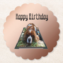 Cavalier Spain Popout Art.