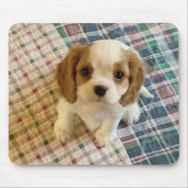 Cavalier Spain Puppy Mousepad Musmatta