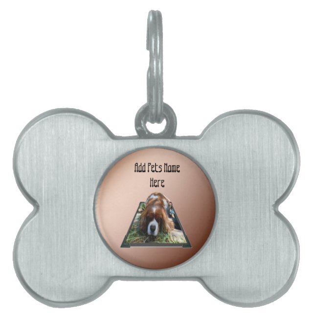 Cavalier Spaniel Popout Konst,  ID-bricka Husdjur (Framsidan)