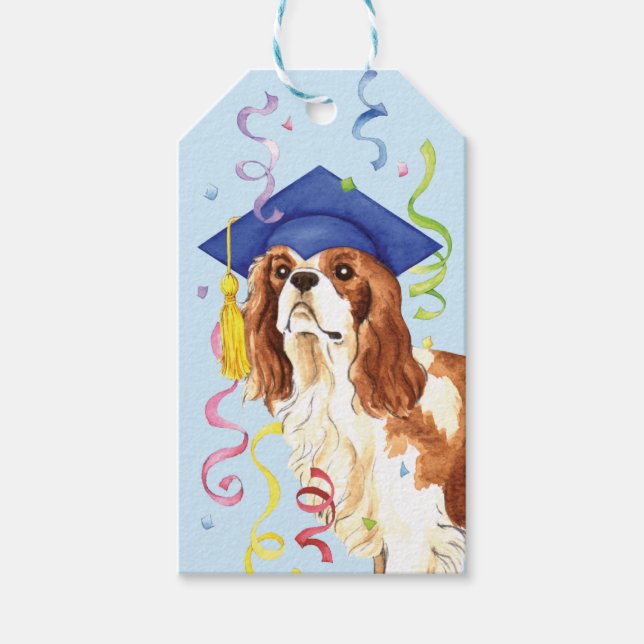 Cavalier Student Presentetikett (Framsidan)