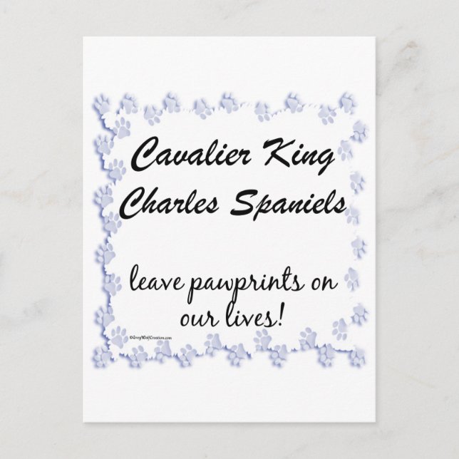 Cavalier-Tassavtryck Vykort (Framsida)