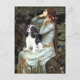 Cavalier (Tri6) - Ophelia-sittande Vykort