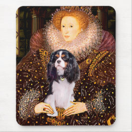 Cavalier (Tri) - Drottning Musmatta