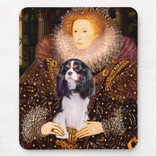Cavalier (Tri) - Queen Musmatta
