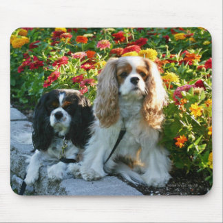 Cavaliers och Zinnias Mousepad Musmatta
