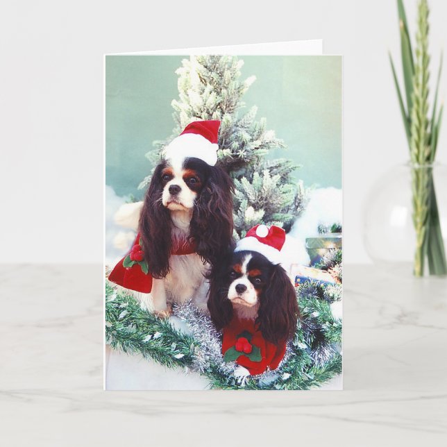 Cavaliers på jul helgkort (Framsida)