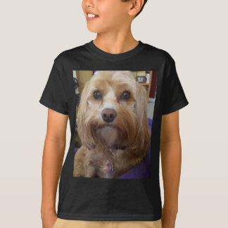 Cavapoo eller Cavadoodle produkter T Shirt