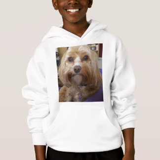 Cavapoo eller Cavadoodle produkter Tröja