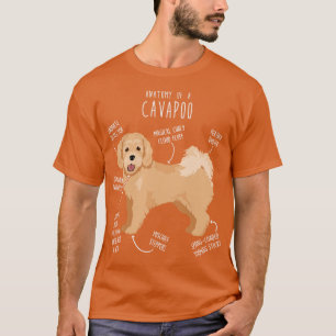 Cavapoo Hund Anatomy 6 T Shirt