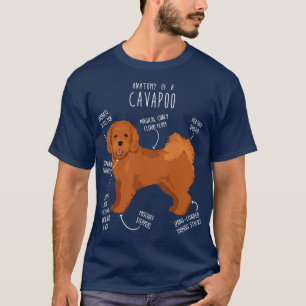 Cavapoo Hund Anatomy T Shirt