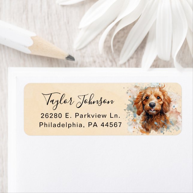 Cavapoo Hund Returadressetikett Returadress Etikett (Insitu)