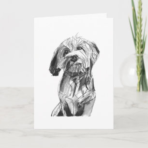 Cavapoo-kol Greeting Card, Present till hundälskar Kort