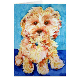 Cavapoo "Ollie". Hälsningskort